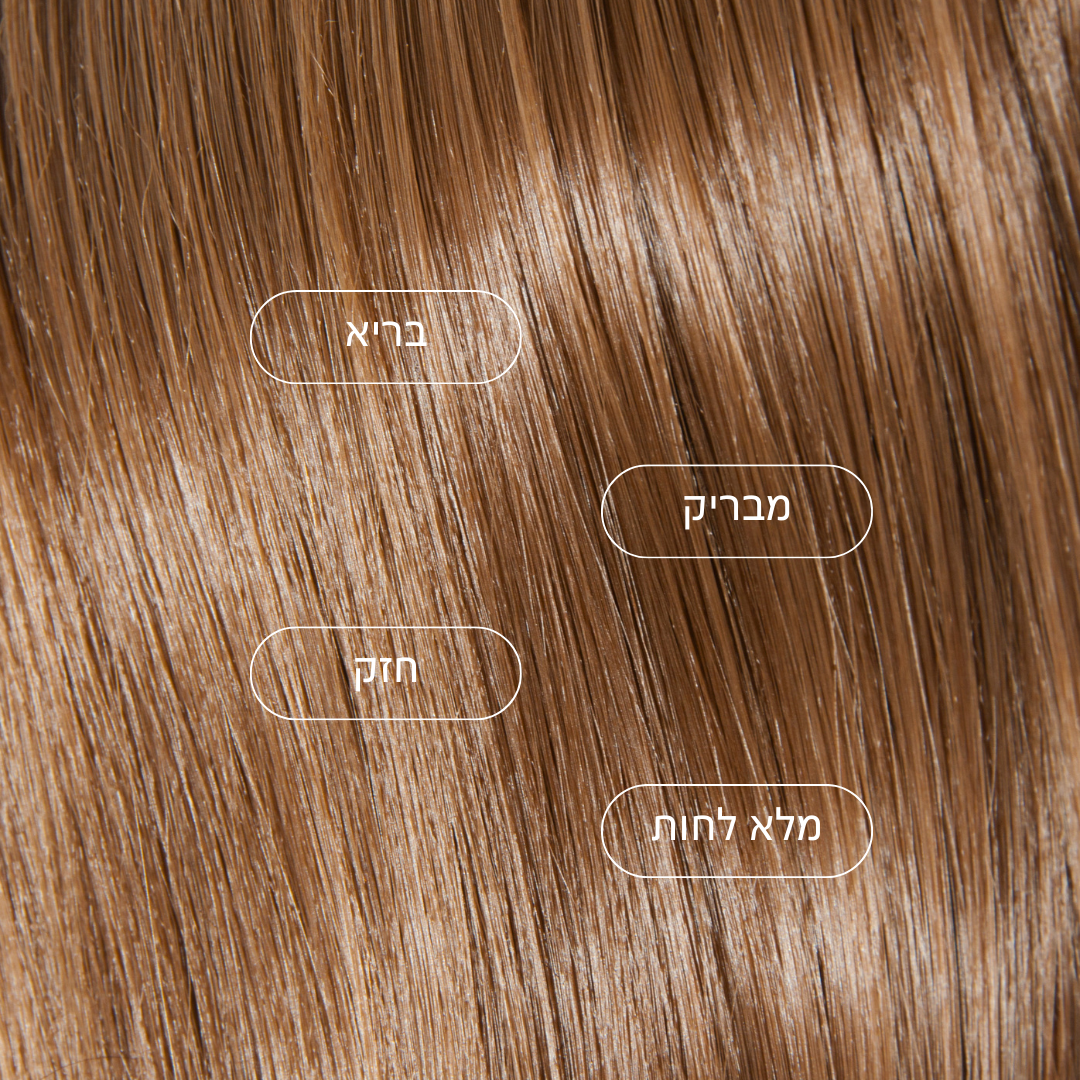 ברק ורכות