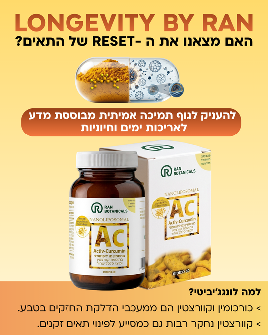 AC אקטיב כורכומין ננו ליפוזומלי לתמיכה שלמה